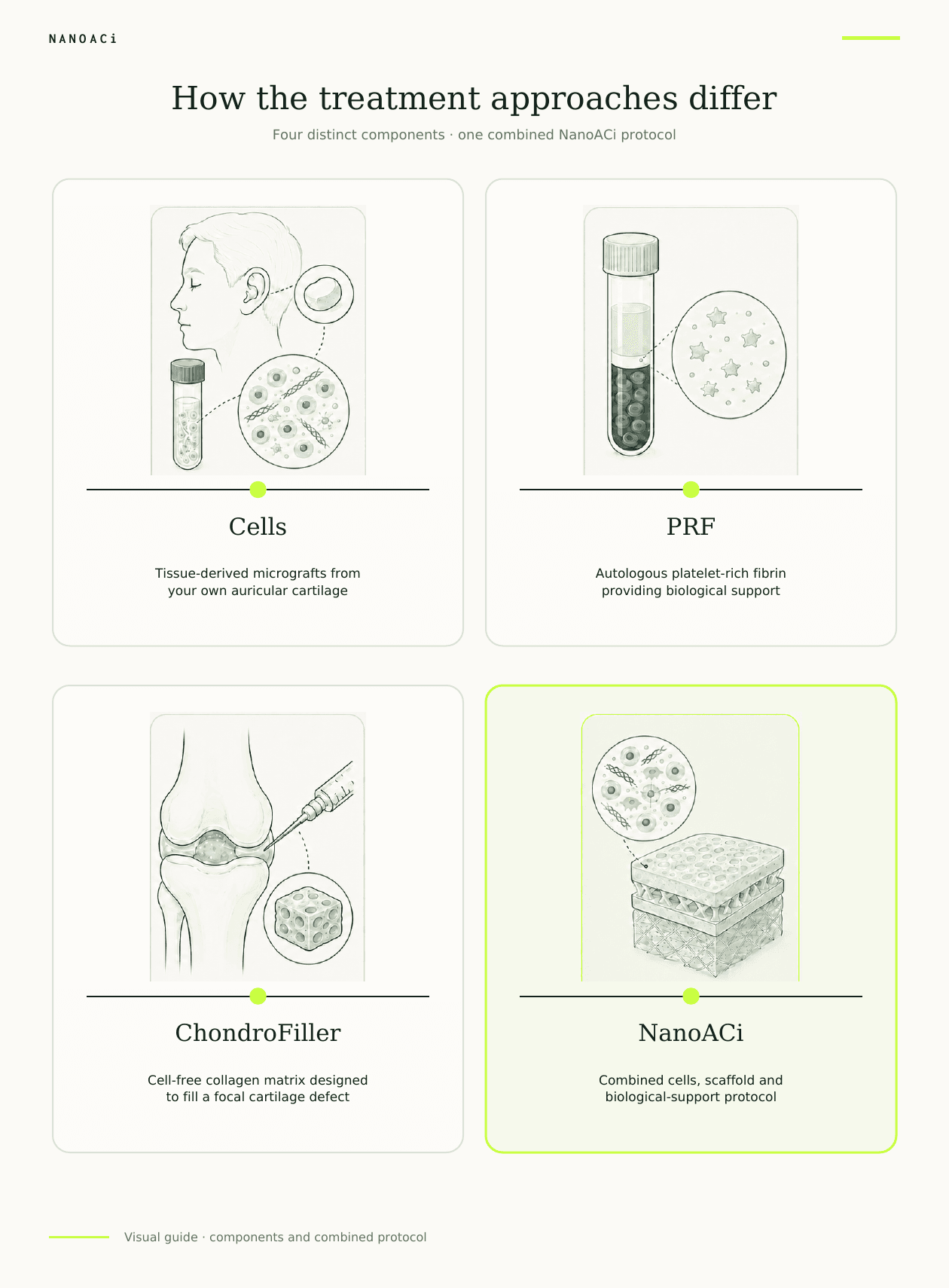 Visual comparison of the cellular, scaffold and PRF roles within NanoACi